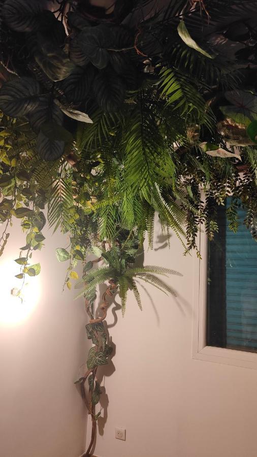 Jungle Room Cannes Extérieur photo