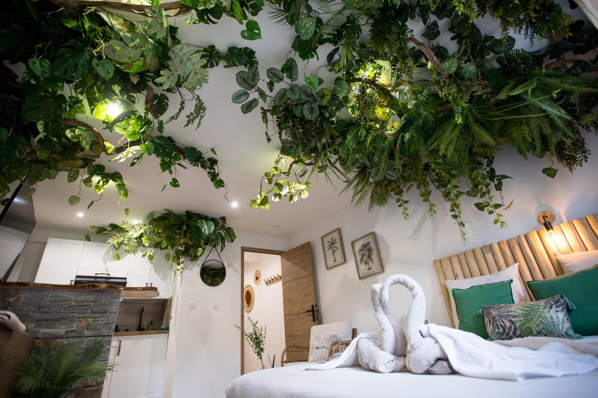 Jungle Room Cannes Extérieur photo